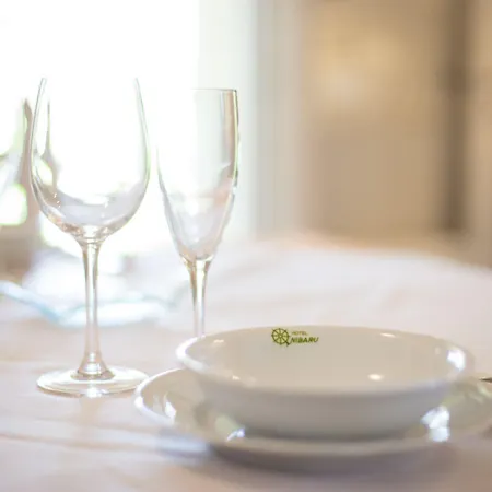 Nibaru Hotel 4*